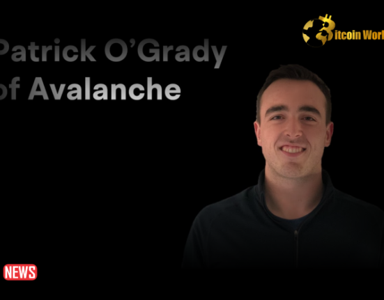 Patrick O'Grady, Ava Labs Engineering VP Leaving Team To Start Own Company