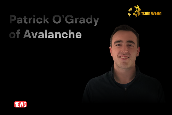 Patrick O’Grady, Ava Labs Engineering VP Leaving Team To Start Own Company