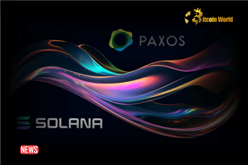 Paxos To Launch New Stablecoin, USDP, On Solana After Shutting Down BUSD