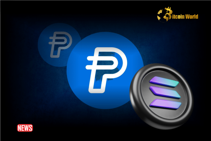 PayPal’s Stablecoin, PYUSD, Goes Live On Solana