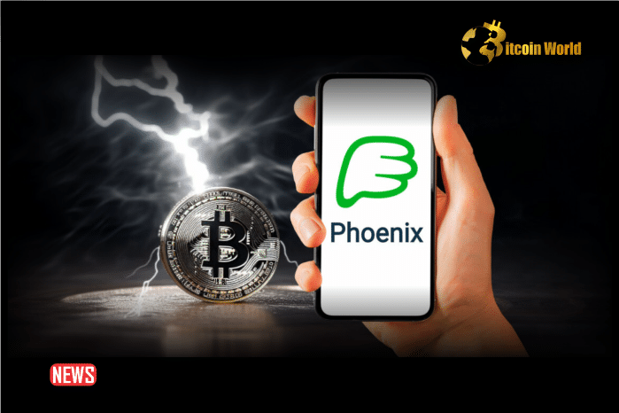 Phoenix Wallet Halts Services For US Users