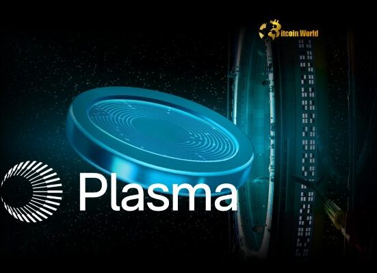 Plasma Stablecoin Achieves Stunning $500M Crypto Fundraising Milestone in Minutes