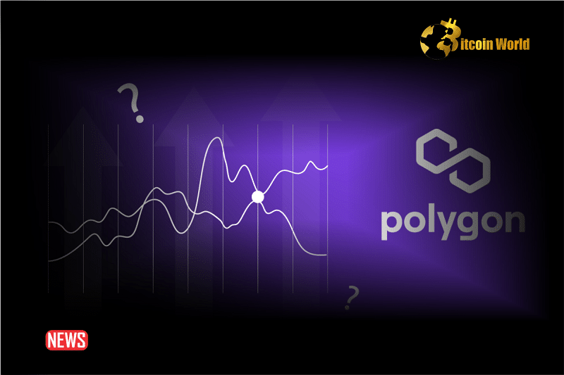 Will Drop In Polygon’s Volume, Revenue Knock MATIC To The Ground?