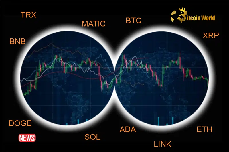 The Price Of Bitcoin SV Fell More Than 3% In 24 Hours