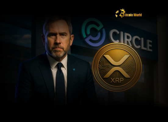 Ripple Clarifies Brad Garlinghouse Dismisses Circle USDC Acquisition Rumors Amidst Crypto News