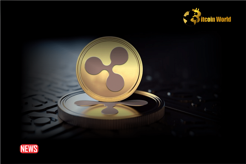 XRP Transfers Hit Mega Millions, Possible Reasons For The Move