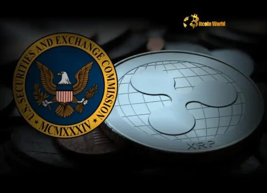 Ripple SEC Pivotal Dialogue on Digital Asset Clarity