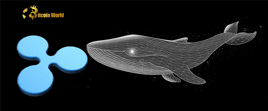 Crypto Community Predicts $XRP Price Increase as Whale Holdings Surge