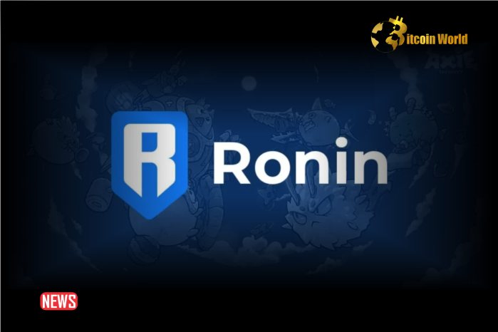 Norwegian Government Says It Recovered Large Amount Of Ronin (RON)