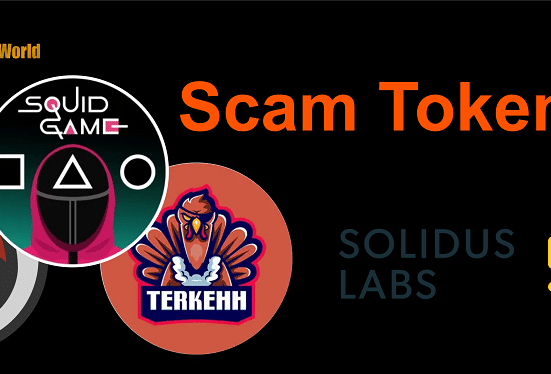 350 New 'Scam Tokens' were Created Every Day this Year: Solidus Labs