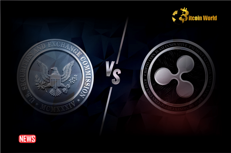 SEC Losing Focus on Investor Protection: Ripple CEO