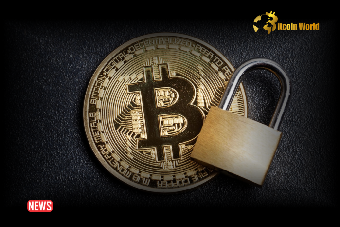 Secure Your Crypto: Top Wallets for Bitcoin and Altcoins