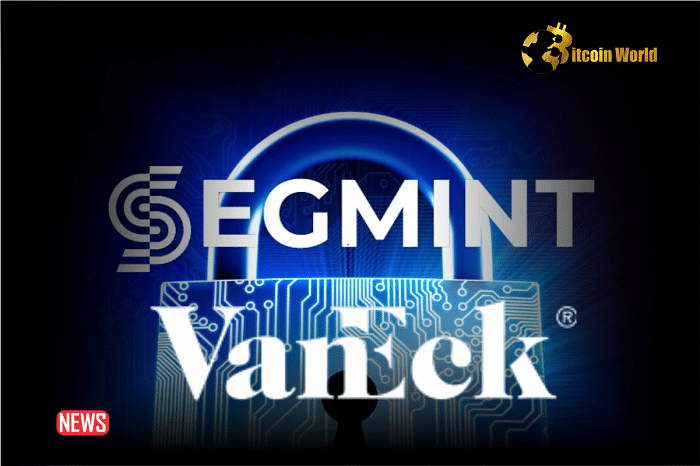 VanEck Launches SegMint, an NFT Marketplace with a "Lock & Key" Sharing Model