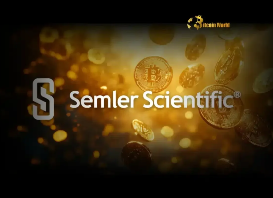 Semler Scientific Makes Bold Bitcoin Move, Reports Stunning 25.8% Yield YTD