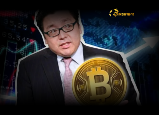 Semler Scientific: Why Tom Lee Sees Unexpected Opportunity in This Bitcoin Treasury Stock's Deep NAV Discount