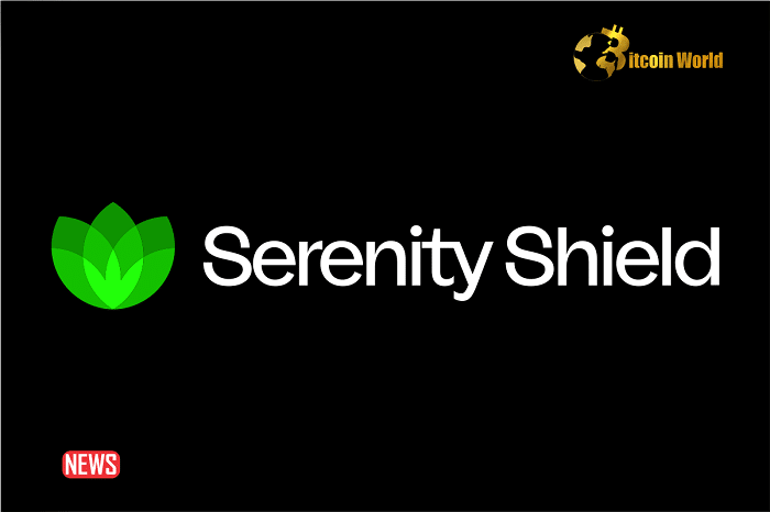Serenity Shield Token (SERSH) Plummeted 98% Within Minutes After A Major Security Incident