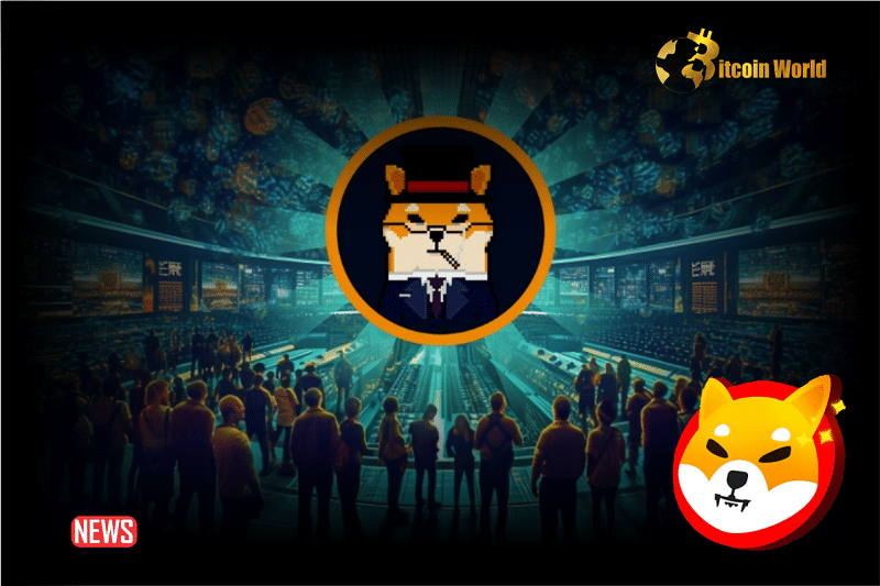 Shiba Inu Team Alerted Its Community On Upcoming NFT Launch