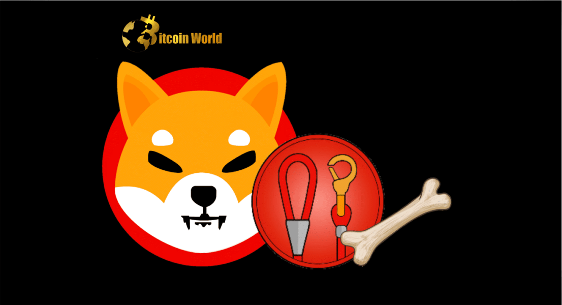 SHIB, BONE, and LEASH Have This Connection to Shibarium’s Transaction