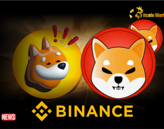 BREAKING! Binance To Reduce The Minimum Order Size For SHIB And BONK Traders
