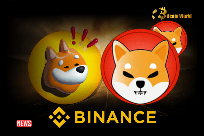 BREAKING! Binance To Reduce The Minimum Order Size For SHIB And BONK Traders