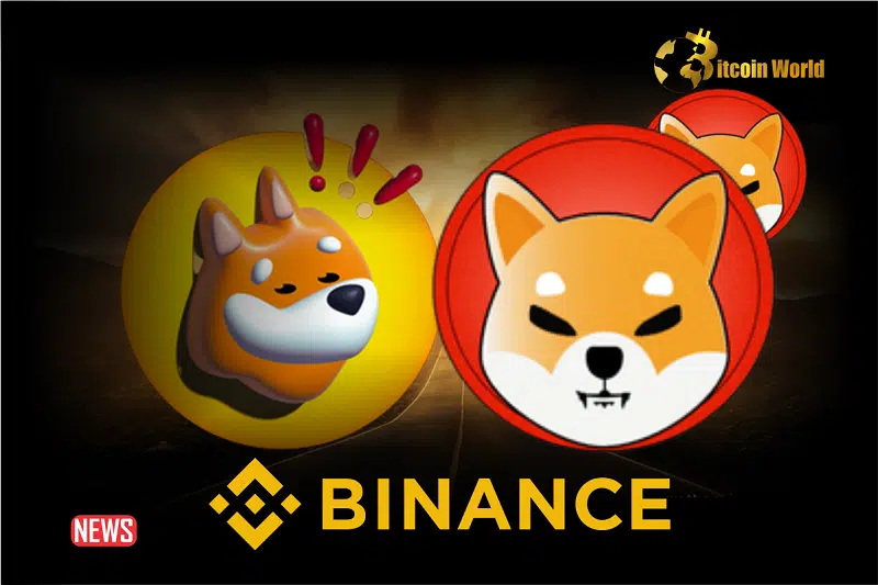 BREAKING! Binance To Reduce The Minimum Order Size For SHIB And BONK Traders