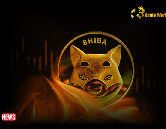 Shiba Inu (SHIB) Burn Rate Drops 58.5% As Price Drops: Reason to Worry?