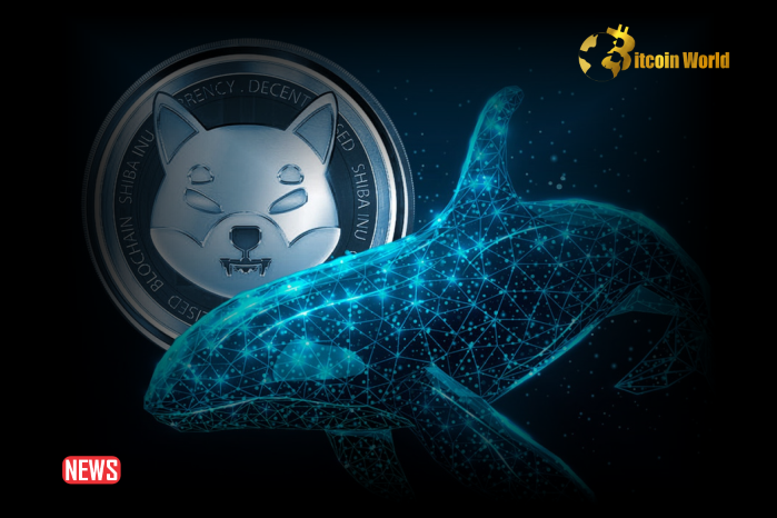 Shiba Inu Whale Withdraws 2.2 Billion SHIB From Robinhood, Should You Follow The Whales?