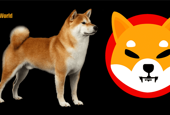 The Real-Life Dog Behind Memecoin DOGE is Seriously ill