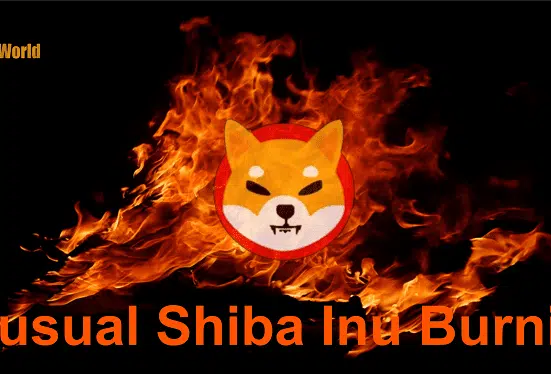 Shiba Inu [SHIB] Fires Up: A Whale Burn Ignites Hope Amidst Network Challenges