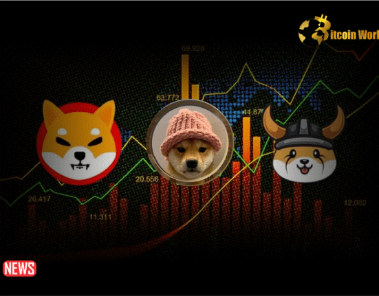 Meme Coin Price Analysis: Shiba Inu, Floki, Dogwifhat Surge