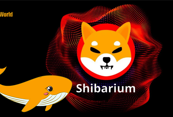 Despite Shibarium anxiety, Shiba Inu [SHIB] whales stay…