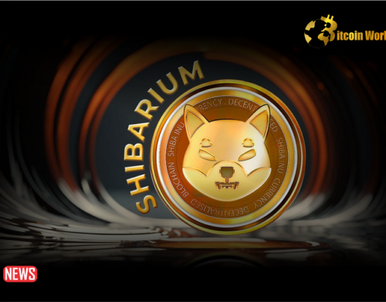 Shiba Inu Developers Unveil Key New Shibarium Feature