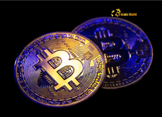 Shocking Bitcoin Core Update Sparks OCEAN VP’s Exit From Crypto