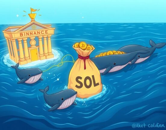 Cartoon illustration depicting SOL whales strategically withdrawing Solana tokens from exchanges, signaling long-term holding and potential future impact.