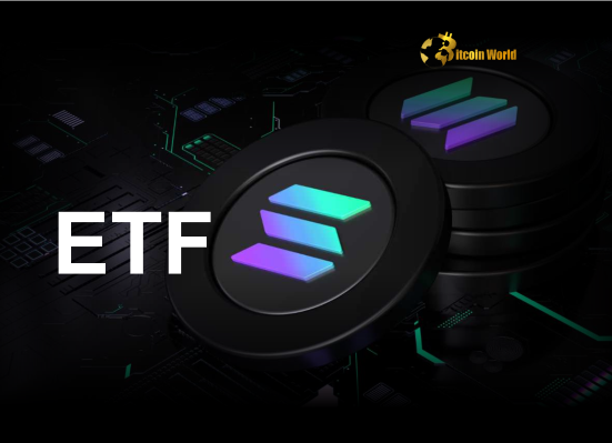 Solana ETF Potential SEC Approval Sparks Hope for the Crypto Market