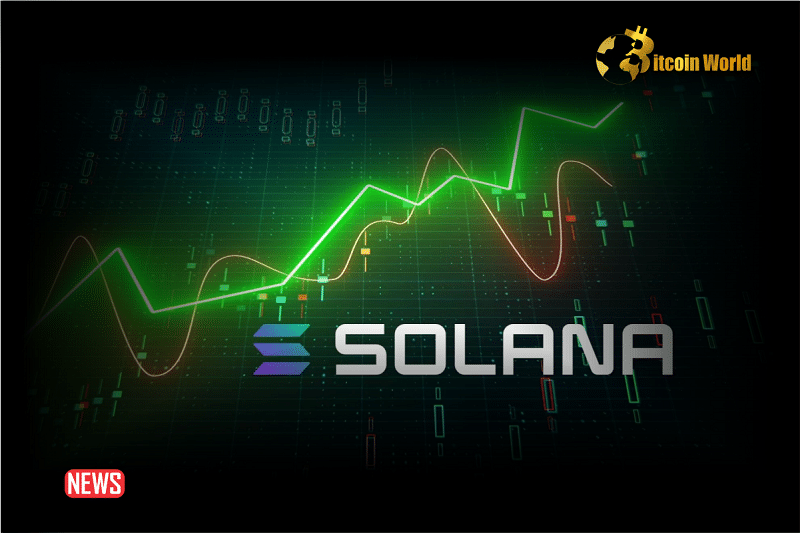 Solana Is Rising But Watch Out For The Whales
