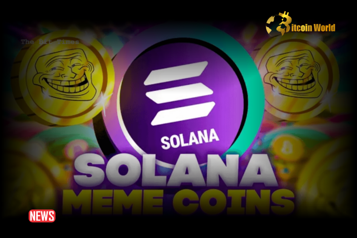Solana Meme Coins Crash: Celebrity Tokens Plummet