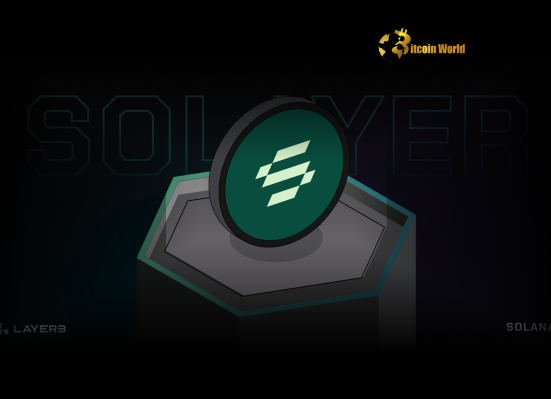 Solayer LAYER Token Transfer Significant $3.54M Moved to Binance Sparks Concern