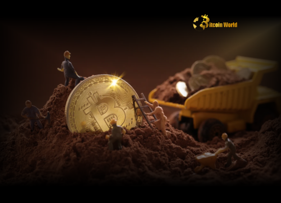 Solo Bitcoin Miner Strikes Gold: Earns $330K Mining Block Alone