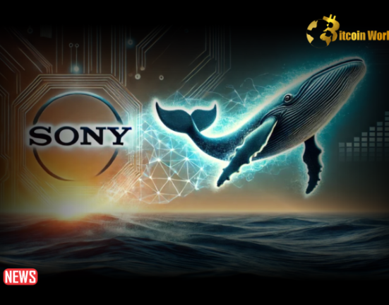 Sony Plans To Resurrect Purchased Crypto Exchange, Whalefin