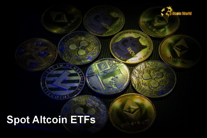 Spot Altcoin ETFs Likely Delayed Until Late 2025, Says Bloomberg Analyst