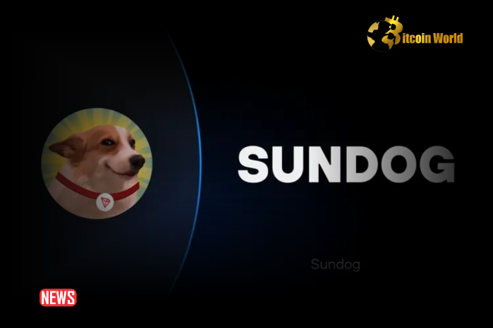 Trader Misses Out On $2M SUNDOG Profit