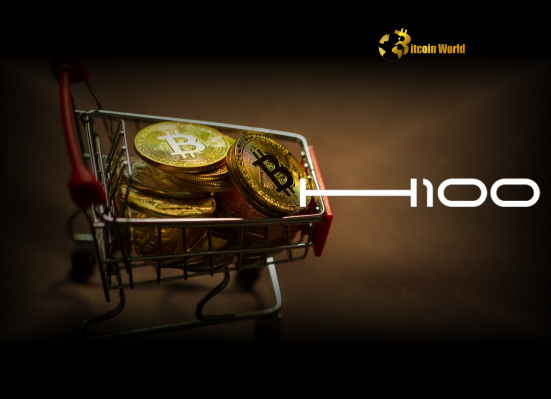 Swedish healthcare tech Firm H100 Group Makes Bold Bitcoin Purchase