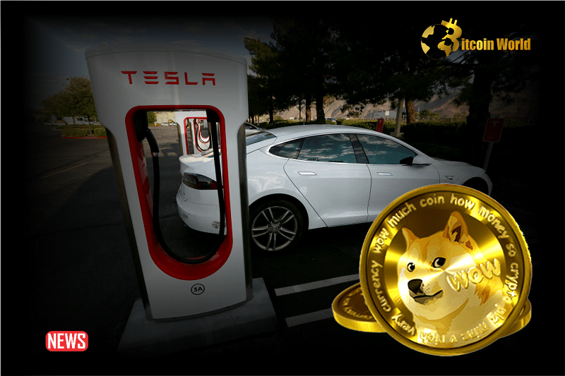 Elon Musk’s Tesla Supercharging Station To Accept Dogecoin Payments