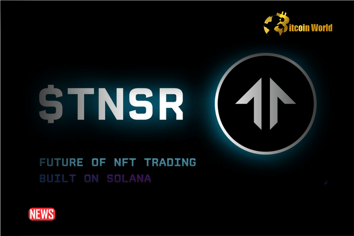 Tensor Foundation Reveals Plans for TNSR Token for the Solana NFT Marketplace