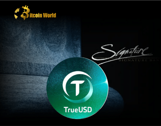 TrueUSD Says ‘Small Number’ of Users Impacted by Signature Bank Closure