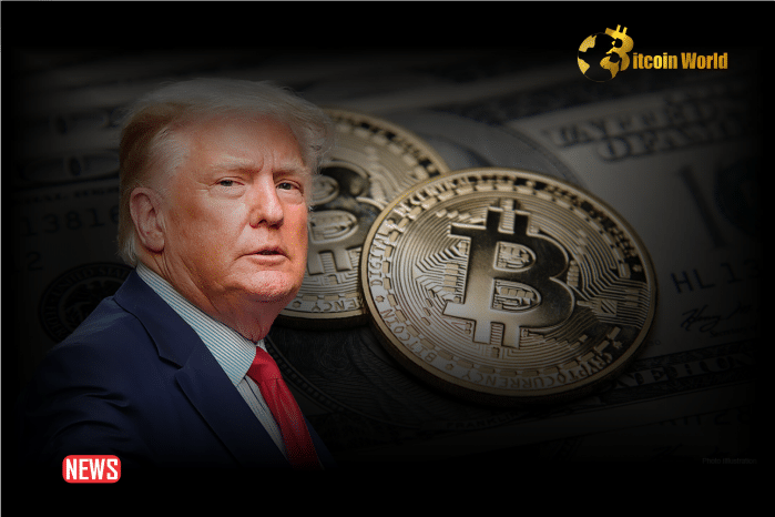Trump’s Suddenly All About Crypto, What Changed?