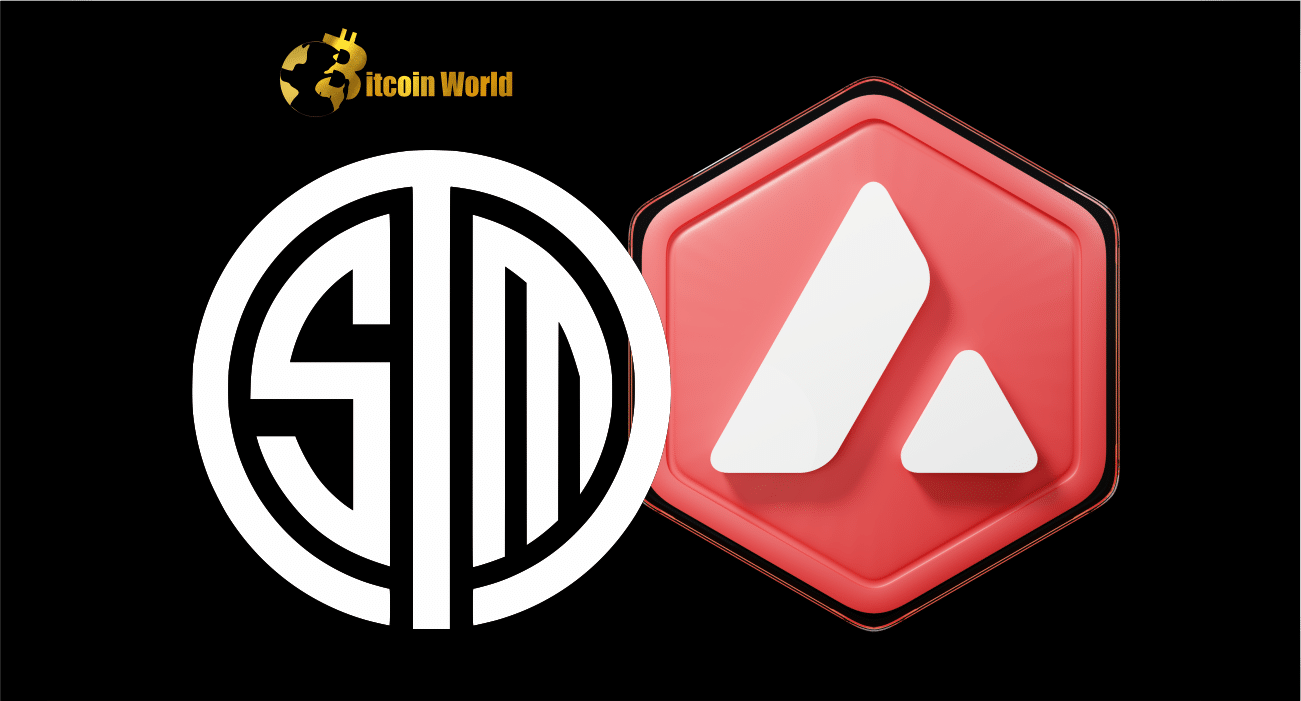 Esports Organization TSM Signs On With Avalanche For New Gaming Subnet