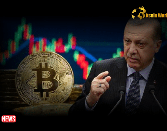 Turkey Appoints Crypto Professor To Central Bank Monetary Policy Committee