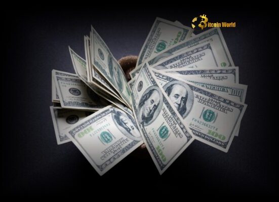 Unlock Strategies: What to Do With Too Many US Dollars in Cash